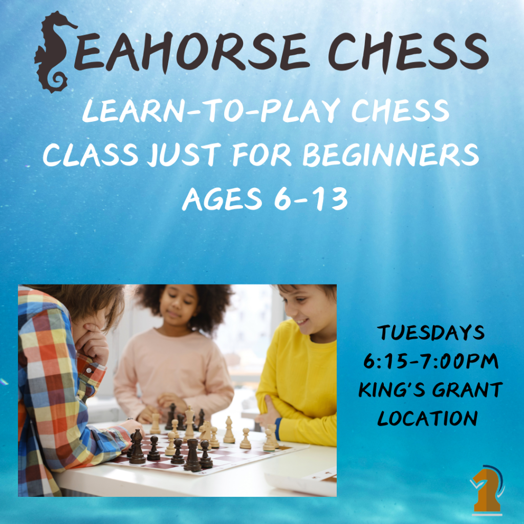 seahorses chess class information